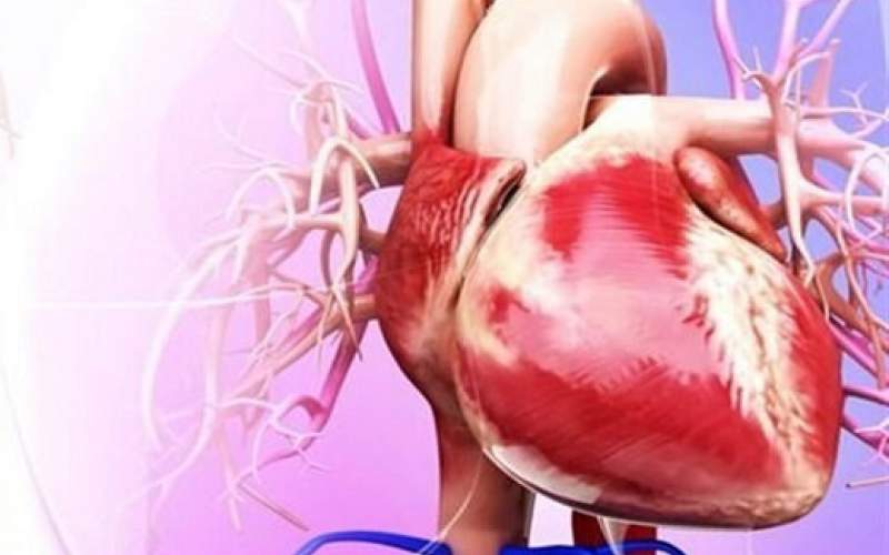 تفاوت زنان و مردان در بیماری قلبی چیست؟