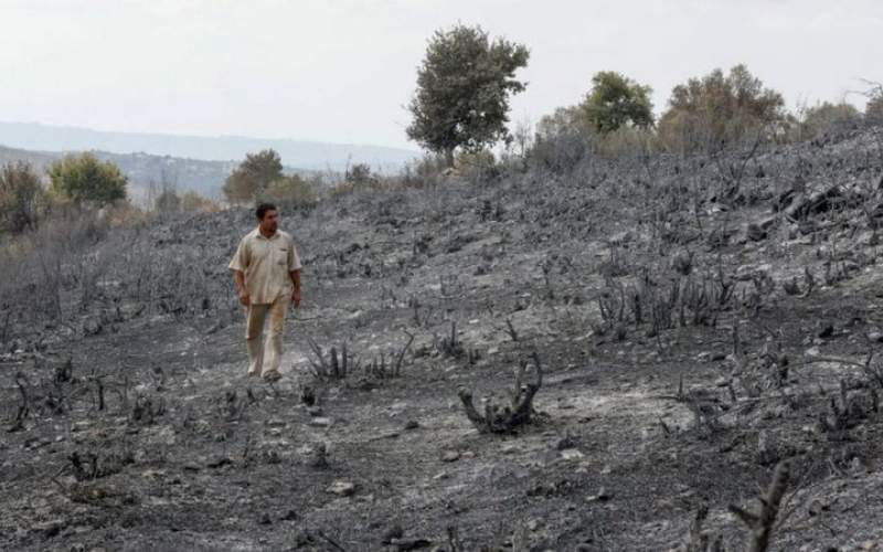 اعدام  ۲۴ نفر در سوریه برای آتش‌سوزی‌ جنگل