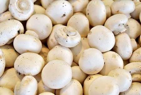 کرونا سرانه مصرف قارچ را ۳۰ درصد افزایش داد