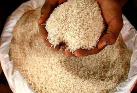خرده برنج درگونی‌های برنج توزیعی به استان‌ها!