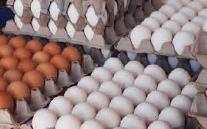 نرخ مصوب هرشانه تخم مرغ ۴۳ هزار تومان