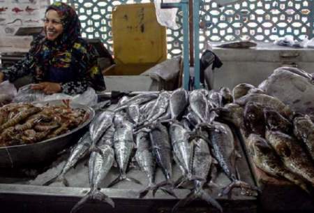صادرات ماهی تازه ممنوع است