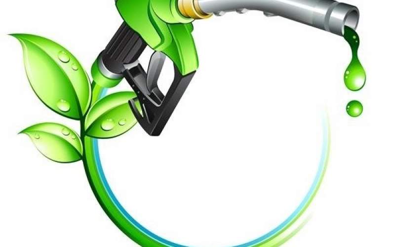 روش‌های جدید برای تولید سوخت زیستی