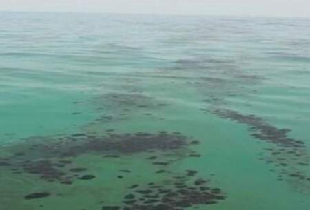 آلودگی نفتی در سواحل شمالی خلیج فارس