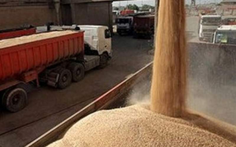 کاهش قیمت جهانی گندم پس از ۵ ماه