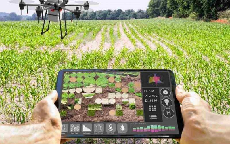 کارایی هوش مصنوعی در کشاورزی