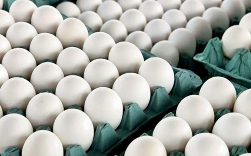 جزییات توقیف سه کانیتر تخم مرغ کپک زده ترکیه‌ای