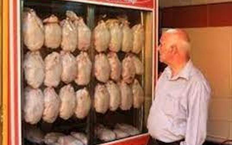 قیمت مرغ به ۵۰هزار تومان می‌رسد