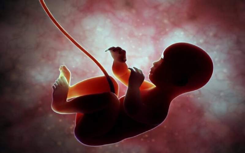 نوزادان متولدنشده هم می‌توانند به کرونامبتلا شوند