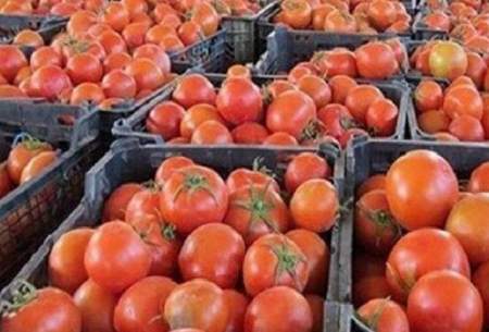 باران گوجه فرنگی را گران کرد
