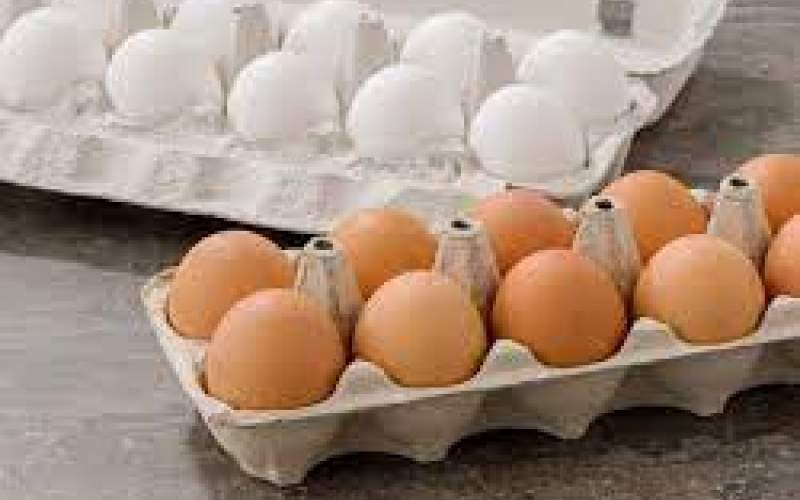 آخرین قیمت از تخم مرغ‌های وارداتی در بازار