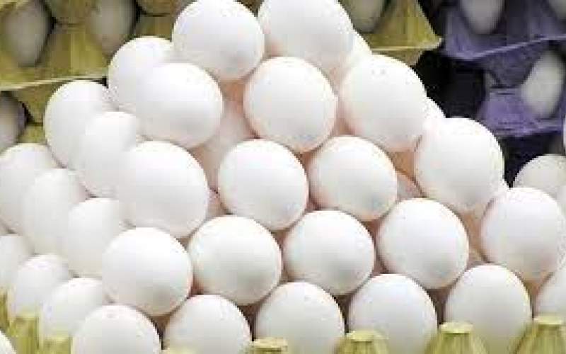 مصرف تخم مرغ در کشور ٢٠ درصد افزایش یافت