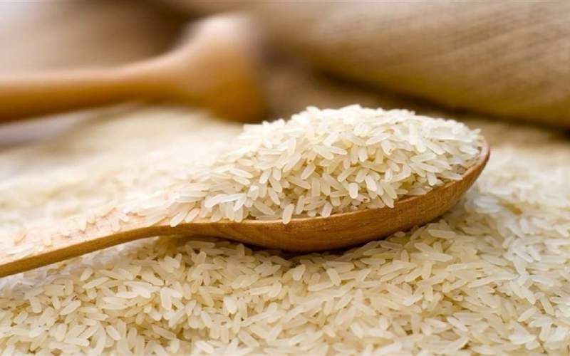مصرف ماهیانه ۱۴۰ هزار تن برنج خارجی در کشور