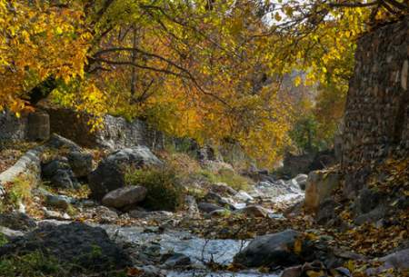 ایران زیباست؛ پاییز روستای «افجه»  <img src="https://cdn.baharnews.ir/images/picture_icon.gif" width="16" height="13" border="0" align="top">