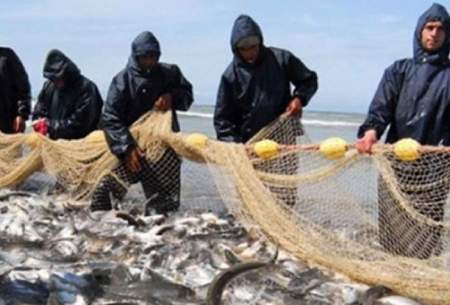 تغییرات جوی میزان ماهی‌ دریا را کاهش داد