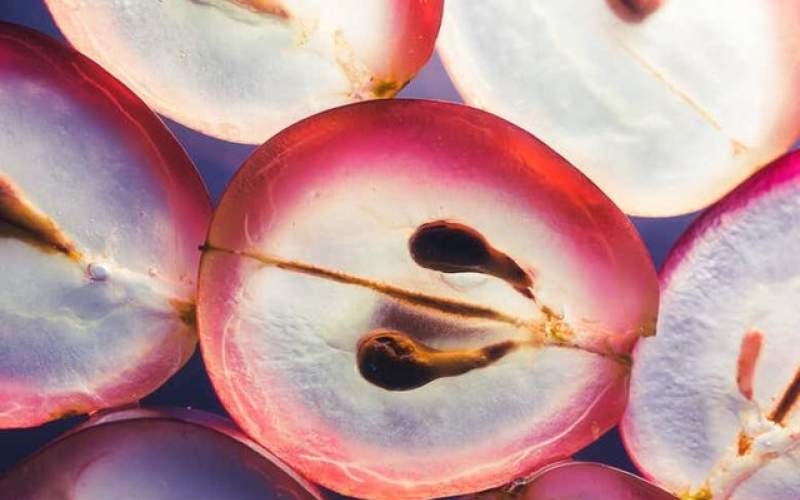 افزایش طول عمر با عصاره هسته انگور