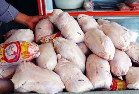 مرغ در گران‌ترین حالت ممکن باید ۱۲ هزار تومان فروخته شود