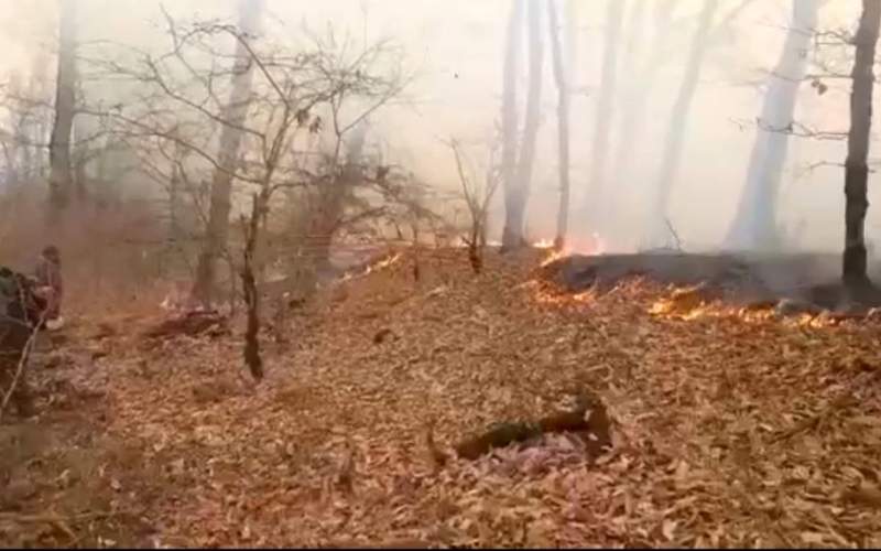 آتش در پارک ملی گلستان دوباره شعله کشید