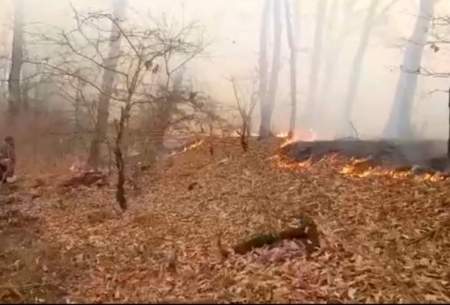 آتش در پارک ملی گلستان دوباره شعله کشید