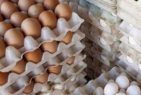 با حذف ارز 4200 تومانی قیمت تخم‌مرغ ۶ برابر خواهد شد!