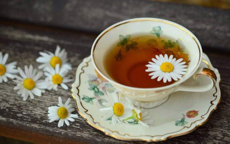 پنج دلیل عالی برای نوشیدن چای بابونه