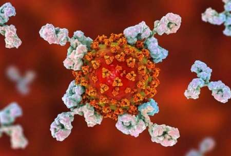 کشف راه جدیدی برای غیرفعال‌کردن ویروس‌ها