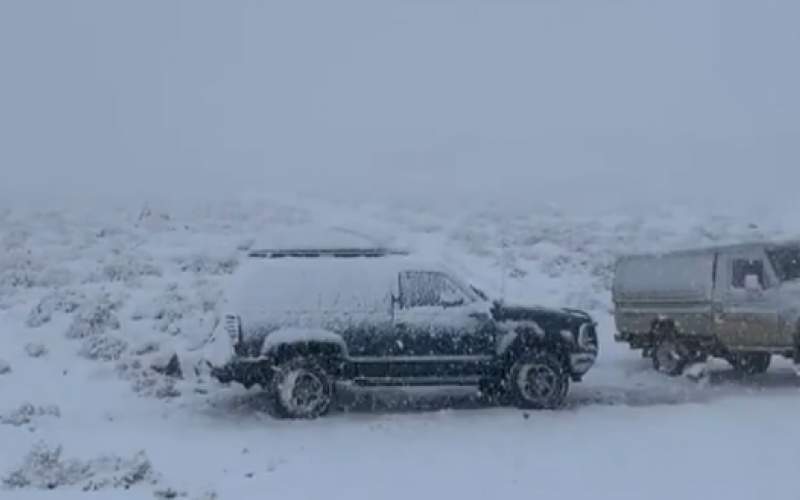 بارش شدید برف در بیابان‌های عربستان/فیلم