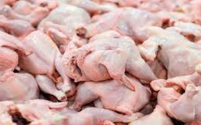 مصرف سرانه مرغ افزایش یافت