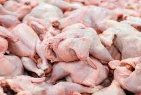 مصرف سرانه مرغ افزایش یافت