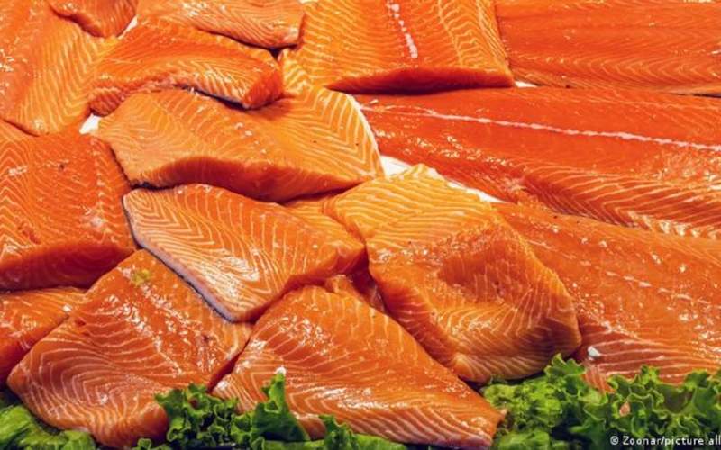 فواید ماهی سالمون برای مقابله با تصلب شرایین