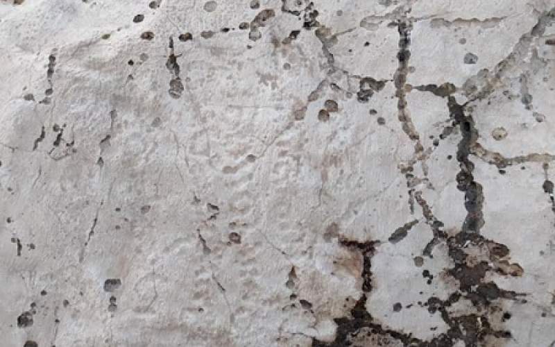 جزییات تازه از کشف «نام زرتشت» روی یک کتیبه