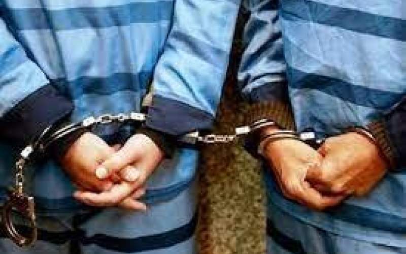دستگیری 2 سارق با 100 فقره سرقت