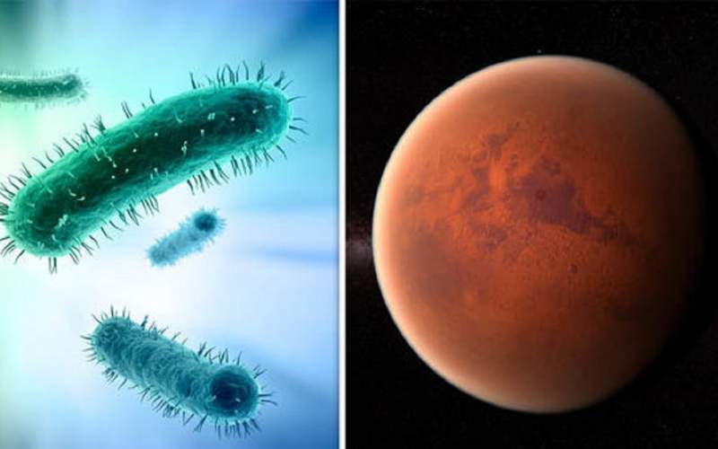 باکتری ها قابلیت حرکت در فضا را دارند