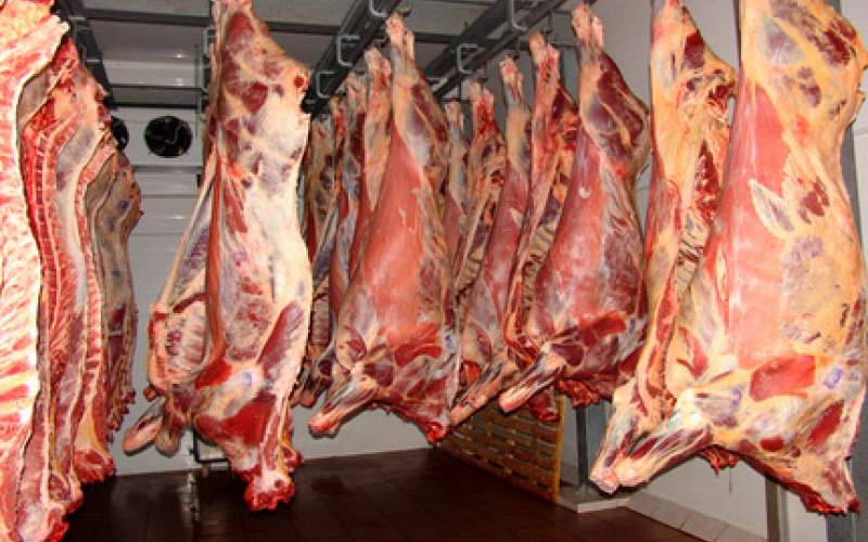 احتمال گرانی  قیمت گوشت وجود دارد