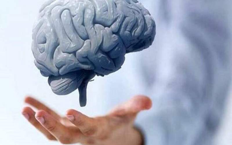 عادت‌های رایجی که مغز ما را پیر می‌کنند