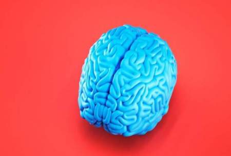 ارتباط بیش فعالی ناحیه‌ای از مغز با یک اختلال روانی