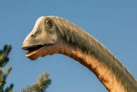 کشف اولین دایناسور مبتلا به عفونت تنفسی