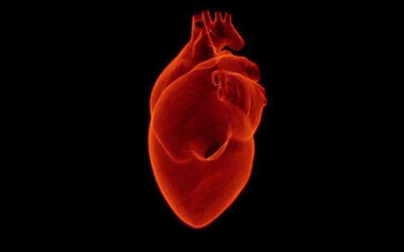 ژن‌هایی که به حمله قلبی منجر می‌شوند