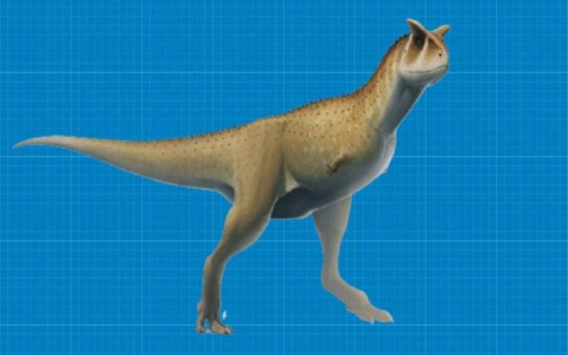 کشف فسیل دایناسور بی‌دست در آرژانتین