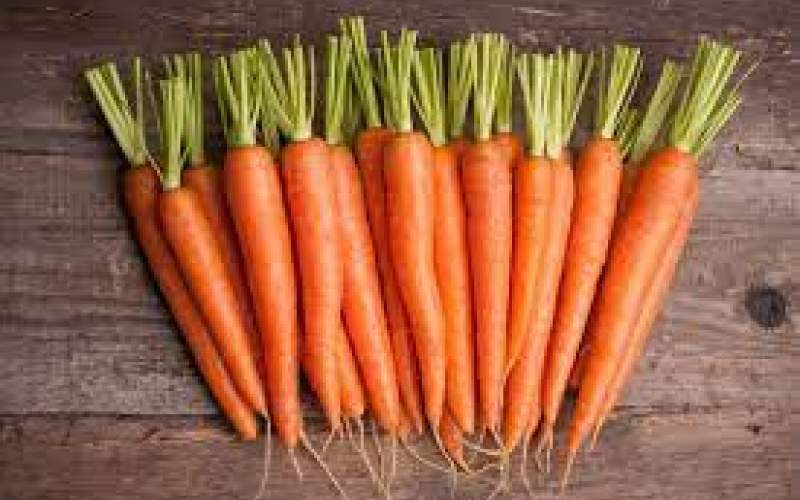 خواص هویج که نمی دانستید