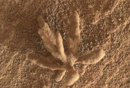 مریخ‌نورد کنجکاوی در مریخ "گل" پیدا کرد
