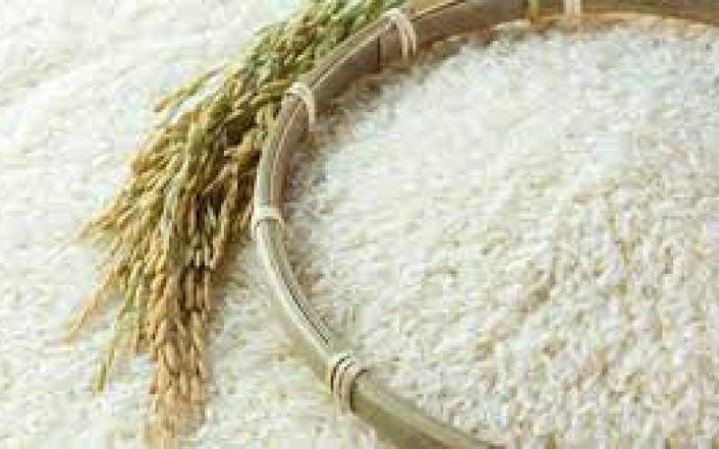 افزایش ۹۵درصدی قیمت برنج ثبت شد