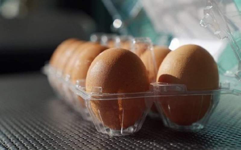 از سرگیری واردات تخم‌مرغ از ترکیه