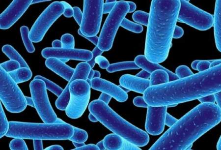 کشف سیستم "نیزه‌پران" در باکتری‌ها!