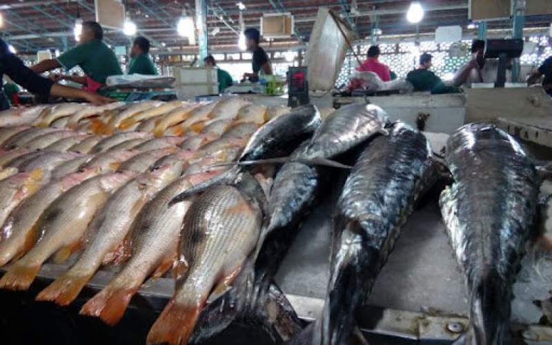 جدیدترین قیمت انواع ماهی در بازار/جدول