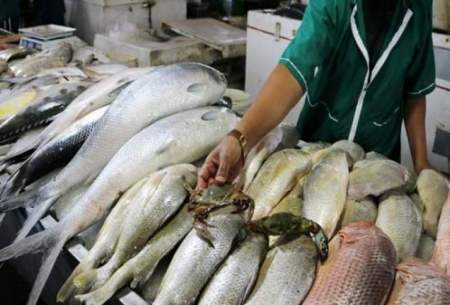 جدیدترین قیمت انواع ماهی در بازار/جدول