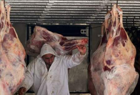کانادا واردات گوشت گاو از برزیل را تایید کرد