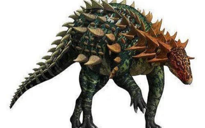 کشف فسیل یک دایناسور "زرهی" در چین