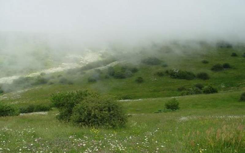 این‌جنگل هزار ساله‌میزبان گردشگران‌نوروزی است