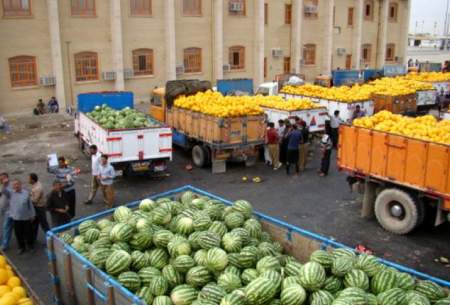 تا یک ماه آینده هندوانه به ترکیه صادر می‌شود
